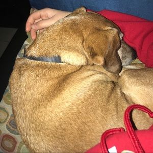 Meet your Posher, Oolivia